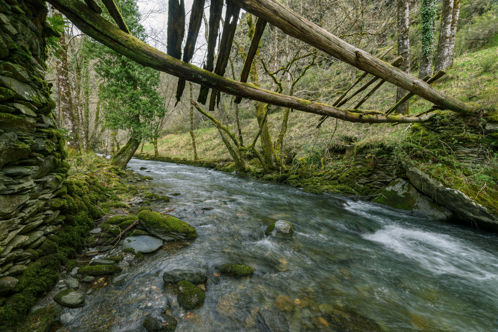 Scarce rotten remains of a hundred-year-old wooden bridge