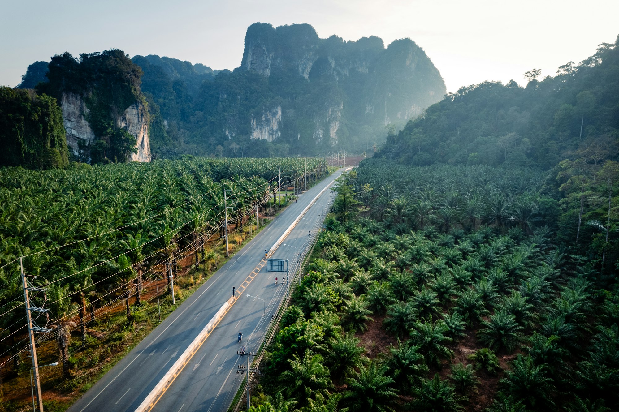 Straight road and palm trees and rocky mountains at Krabi, way to the sea.