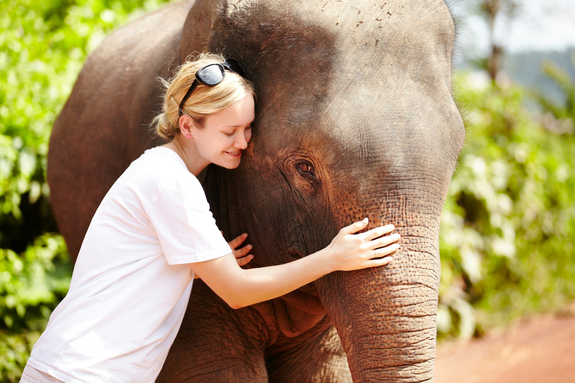 The close bond between animal and human