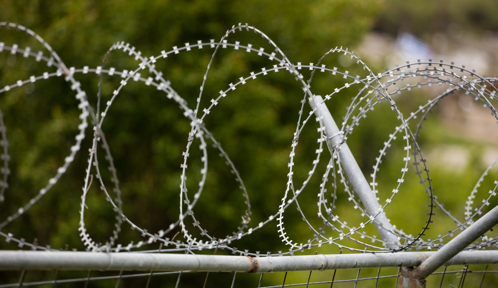 Wire barbed mesh metal fence, sharp with razors, circle. Warning of danger for enemies.